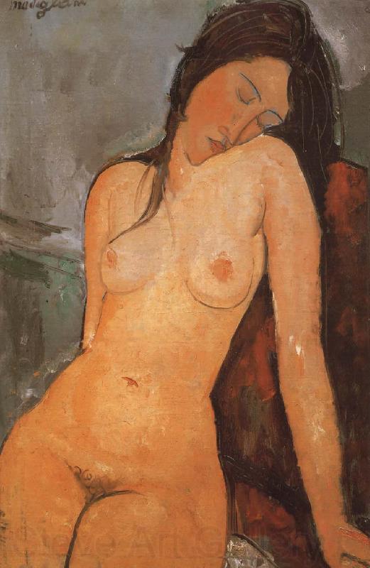 Amedeo Modigliani Seated Nude Norge oil painting art